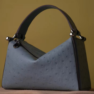 ladies' handbag (Copy)